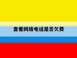 查看网络电话是否欠费