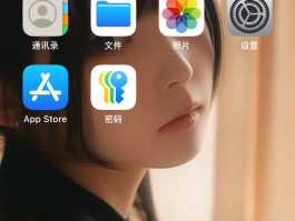 苹果网络电话免费版是什么样的