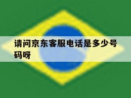请问京东客服电话是多少号码呀