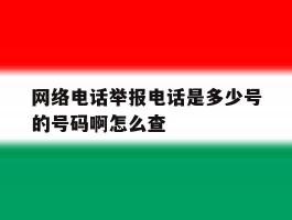 网络电话举报电话是多少号的号码啊怎么查