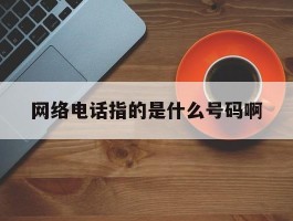 网络电话指的是什么号码啊