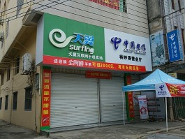 请问中国电信的客服电话是多少