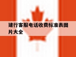 建行客服电话收费标准表图片大全
