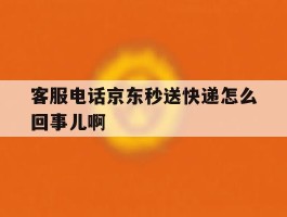 客服电话京东秒送快递怎么回事儿啊