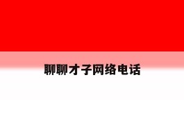 聊聊才子网络电话
