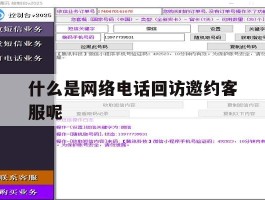 什么是网络电话回访邀约客服呢