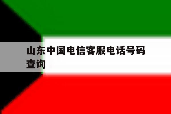 山东中国电信客服电话号码查询 山东中国电信客服电话号码查询